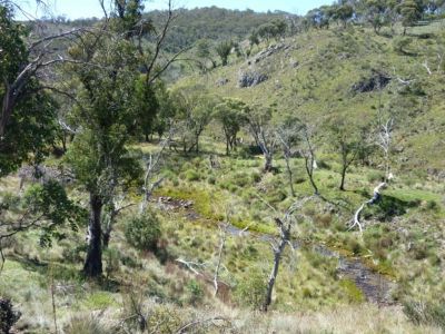 (94) Creek from lookout near Coolamine Plains
