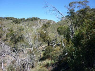 (95) View from lookout near Coolamine Plains
