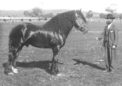 Ellis Smith and Royal Prince at Queanbeyan Showground 1913 & cropped
