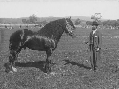 Ellis Smith and Royal Prince at Queanbeyan Showground 1913
