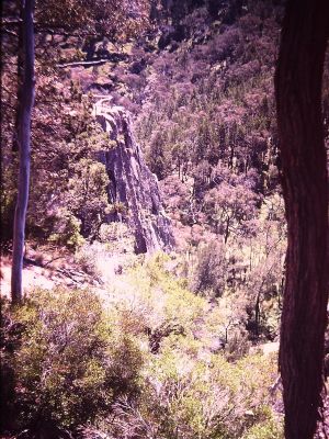 Ginninderra Falls 1981 (3)
