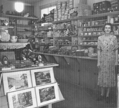 Ida Whiteman in the Camden Newsagency - 1952
