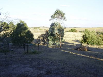 Looking towards road
