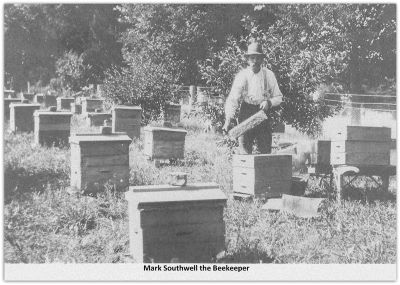 Mark Southwell the Beekeeper
