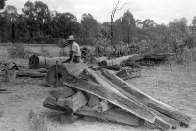 Ossie Southwell cutting wood bw
