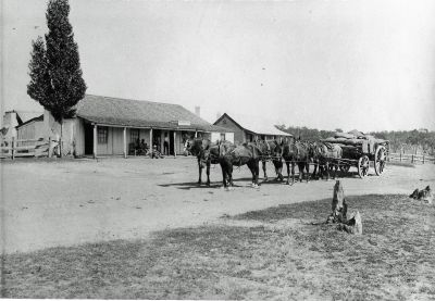 Samson Southwell's Wagon Team at Cricketers Arms Hotel, Hall - courtesy Lyall L & Gillespie
