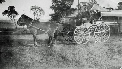 Sulky in front of Wattle Park, Hall (home of Samson Southwell) BW
