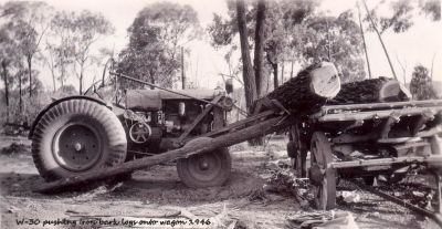 W-30 pusing iron bark logs onto a wagon - 1946
