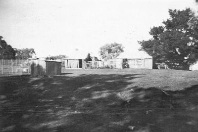 Wattle Grove original house and yard
