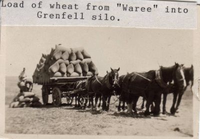 Wheat carting
