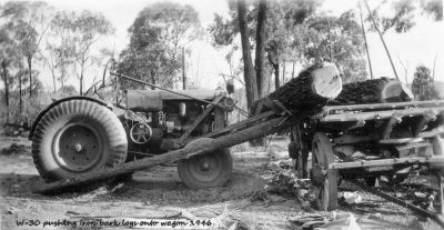 Wilbur Starr's W-30 pushing iron bark logs onto wagon 1946
